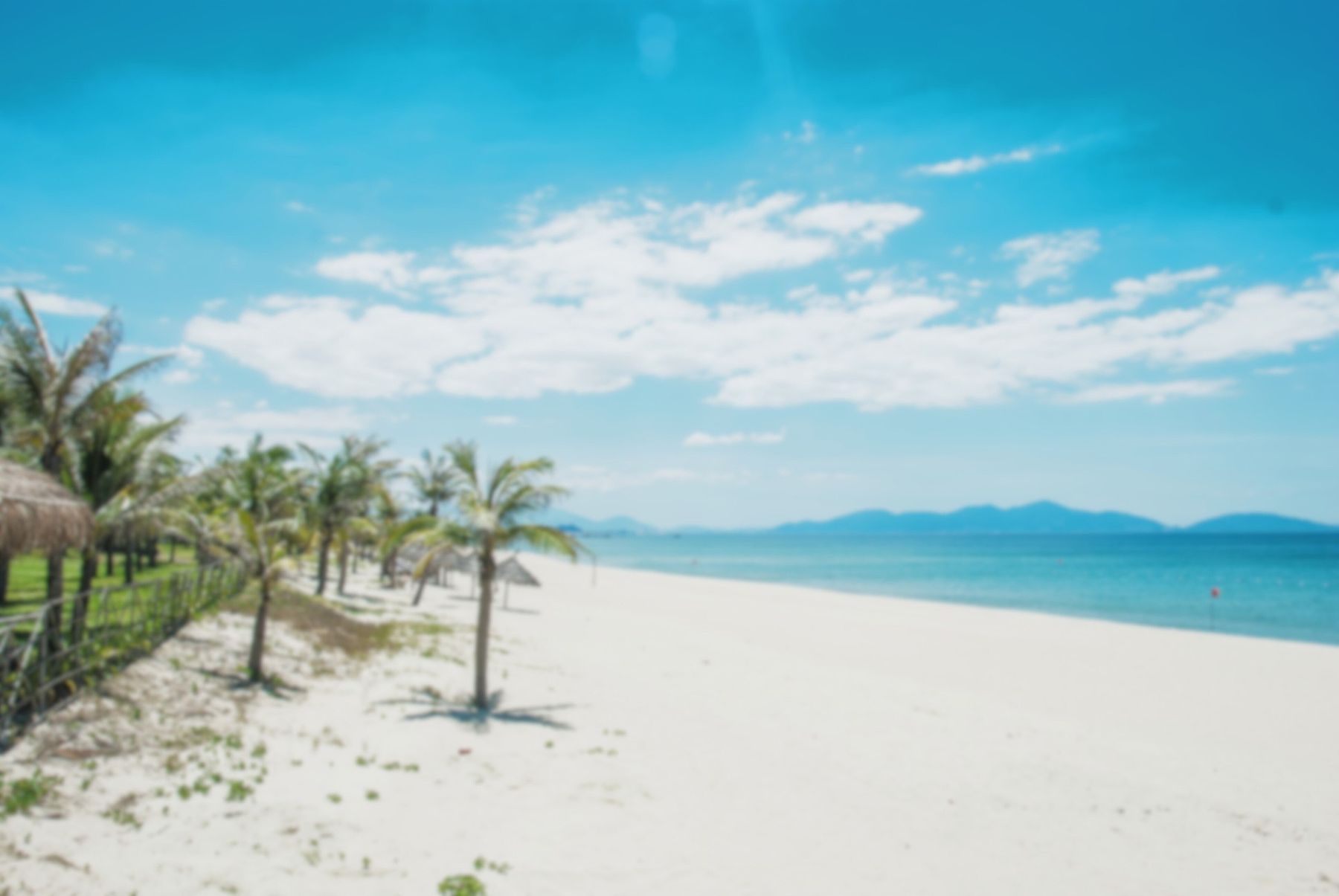 Palmen und weißer Sand am An Bang Beach bei Hoi An